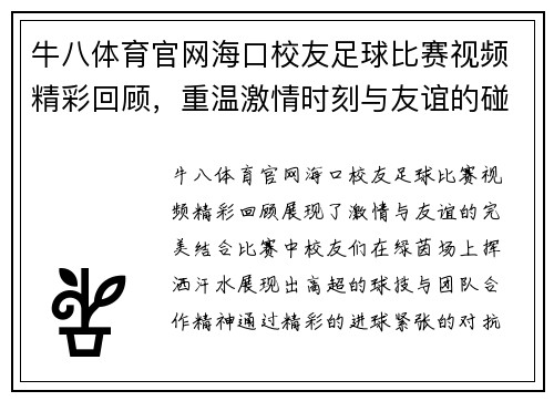 牛八体育官网海口校友足球比赛视频精彩回顾，重温激情时刻与友谊的碰撞